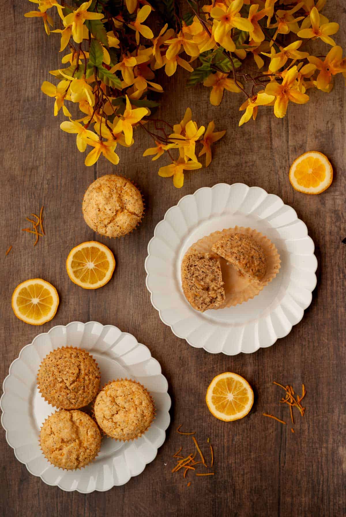 Two decorative white plates with muffins, lemon slices and zest with yellow forsythia flowers.