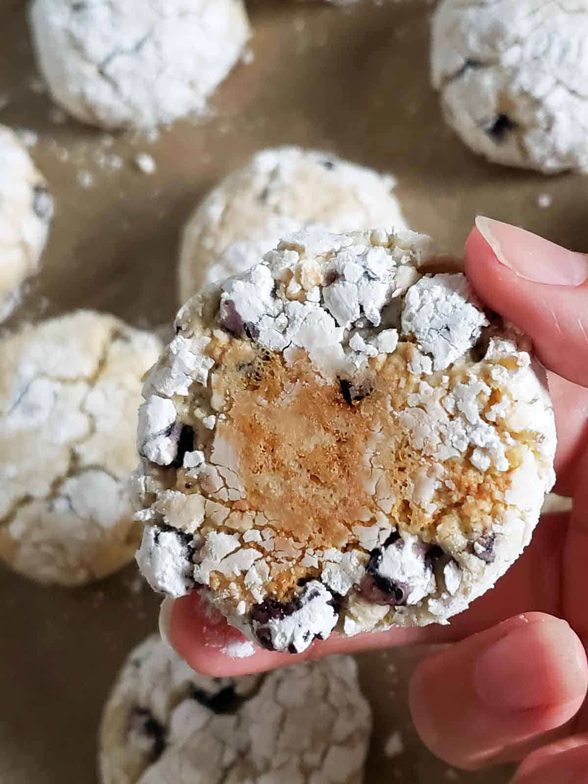 A hand holding a lemon blueberry crinkle cookie showing how the bottom of the cookie turns golden brown and crunchy after baking.