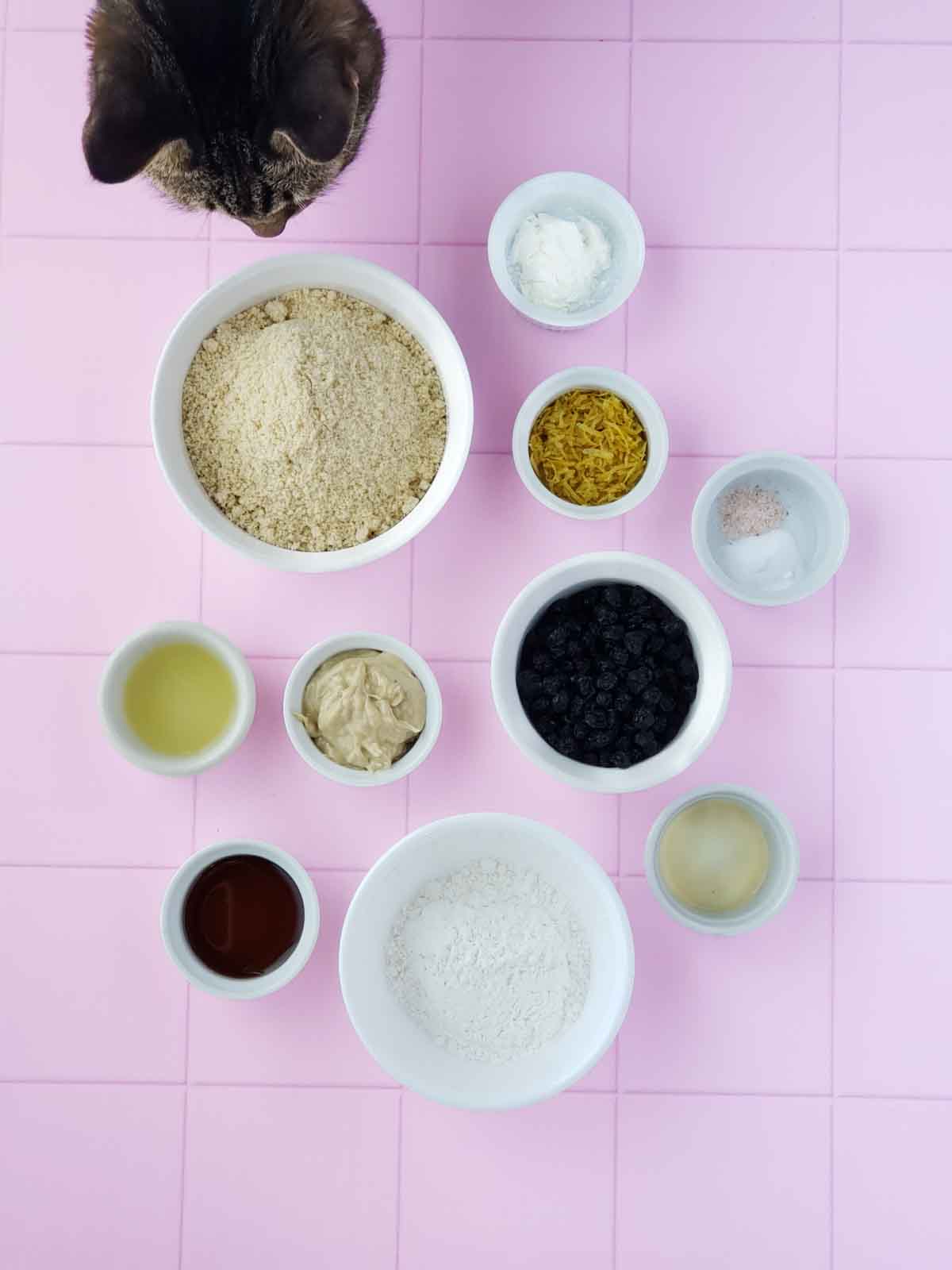 Charlie Cat sneaking a sniff of almond flour. Other recipe ingredients including lemon juice, powdered sugar, lemon zest, and syrup are also shown.