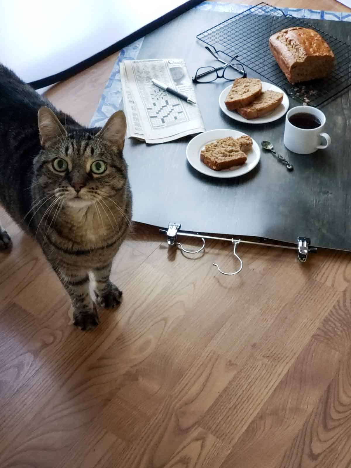 Curious gray tabby cat watching a cozy food photo setup with sliced banana bread, coffee, and a crossword.