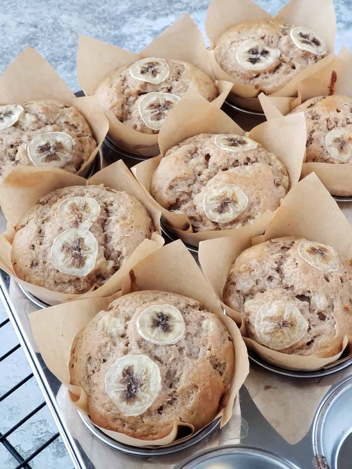 Freshly baked banana muffins in parchment liners with golden tops and banana slices.
