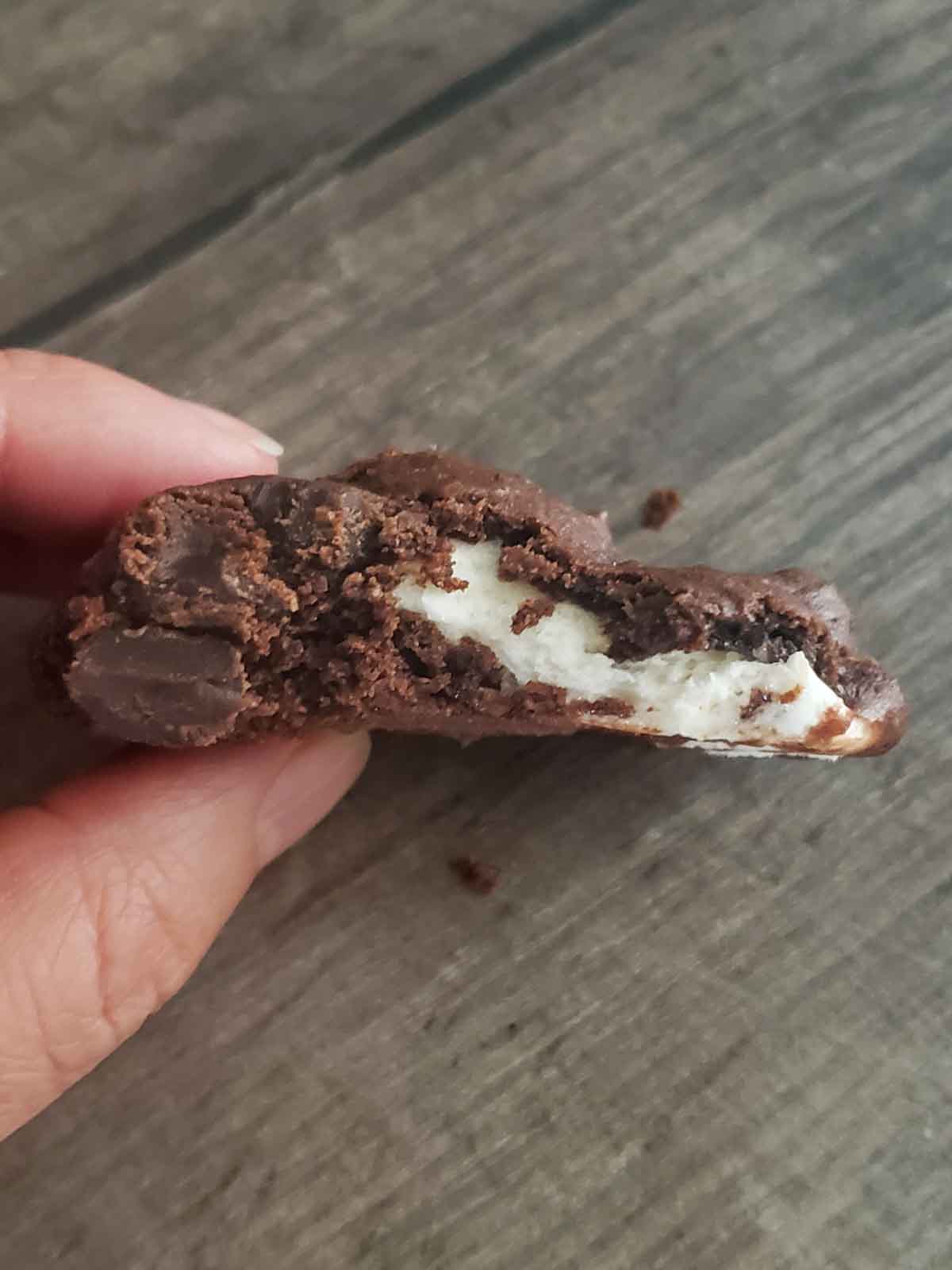 A hand shown holding a cookie with a bite taken out to reveal the inner texture.