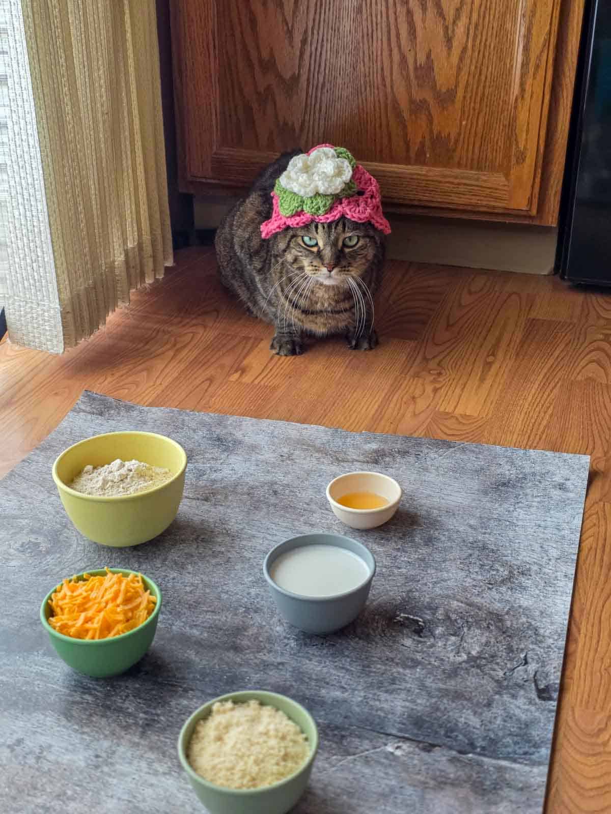 A tabby cat wearing a pink crocheted flower hat sitting behind bowls of biscuit ingredients on a kitchen floor.