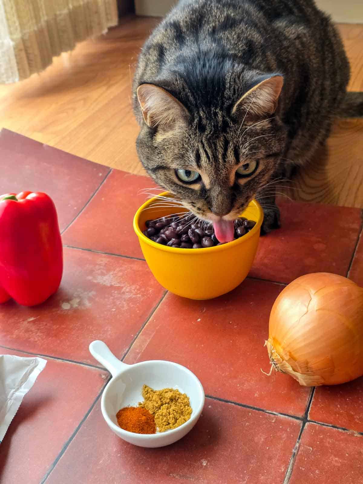 Curious cat investigating a bowl of black beans next to fresh vegetables and spices on a red tile flatlay.