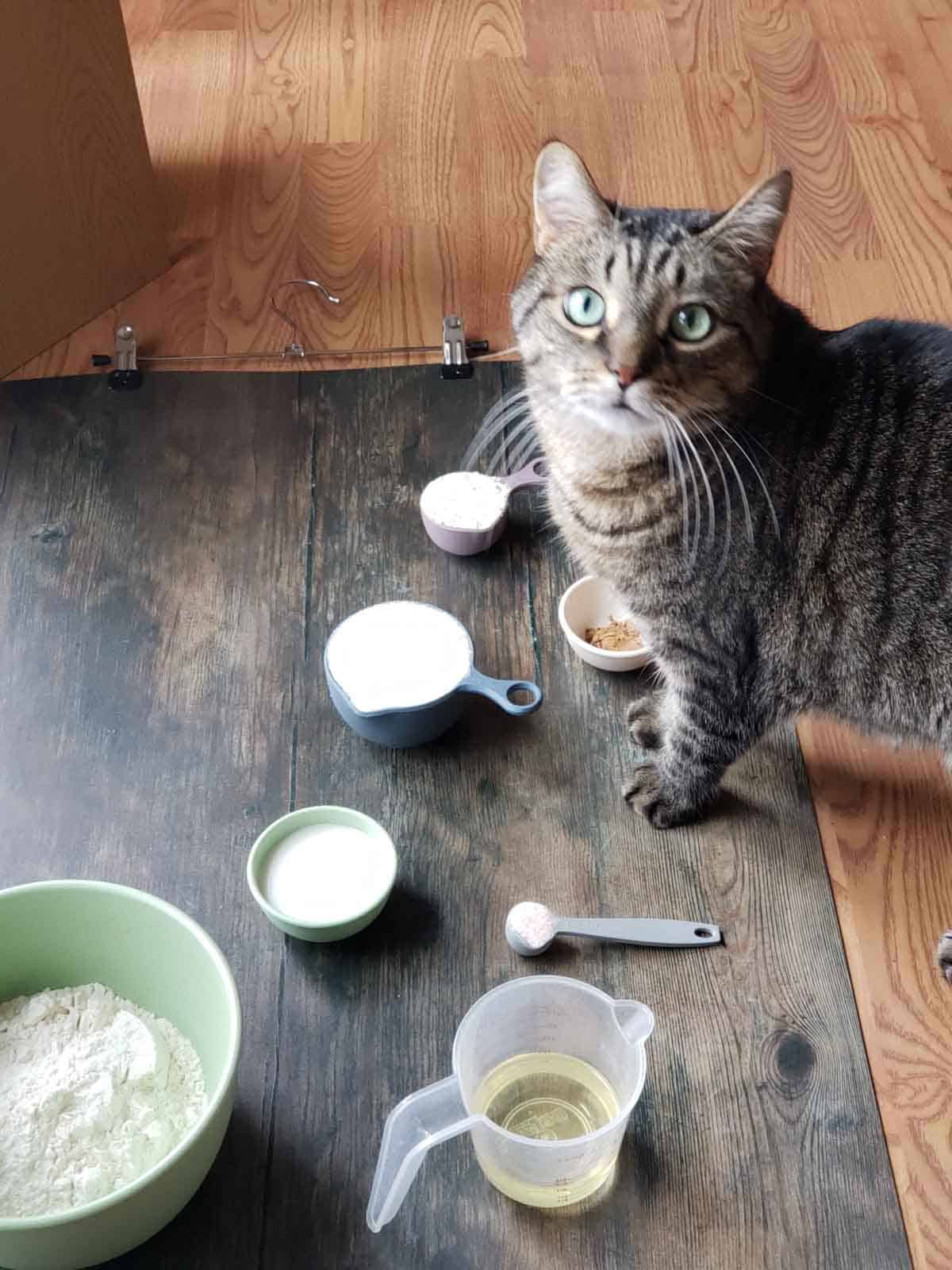 A tabby cat curiously inspecting ingredients for the apple pie.